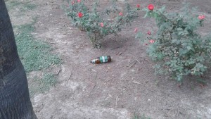 13a98cbae63f097a717d84bd0051f90c2b4c27633cb493ef716600b171a9c0f5.jpg.620x0_q90_crop-scale