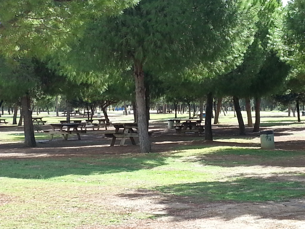 Fotografía Fuente: Daniel Romero Matamoros