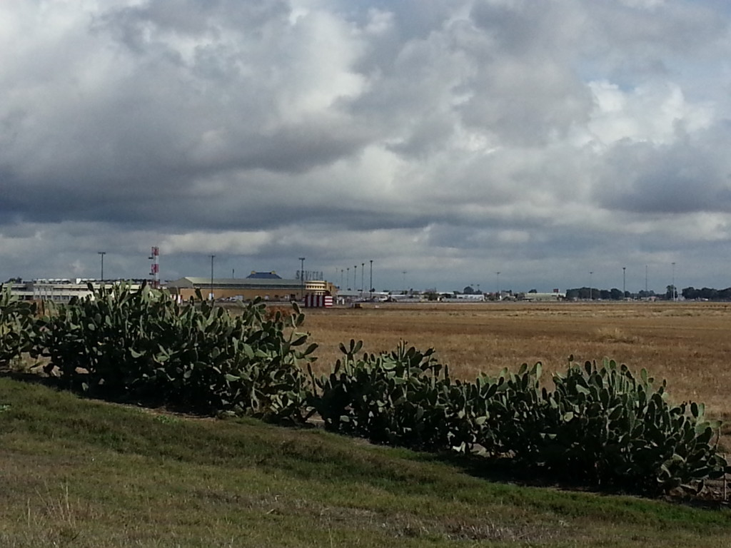 Fotografía Fuente: Daniel Romero Matamoros