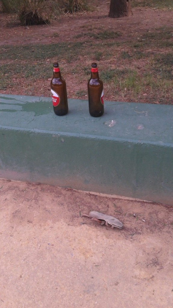 29c97102e8845531d5ac147e977d697bd700dab7c6b9a1fb58d3fadf1ee9ff26.jpg.620x0_q90_crop-scale