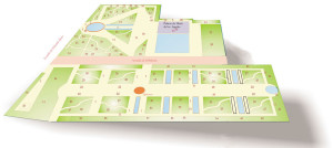  La morera hibrida sin frutos, Morus x hybrida kagayamae, es un árbol caducifolio de copa redondeada que presenta hojas con formas muy variadas, desde enteras y ovaladas a divididas en varios lóbulos. Las moreras se han cultivado tradicionalmente para obtener hojas con las que alimentar los gusanos de seda y pasta para fabricar papel. Escoltando los huertos tradicionales, podemos encontrar especies ornamentales y exóticas: palmeras datileras –Phoenix dactylifera-, jacarandas –Jacaranda mimosaefolia-, celestinas –Plumbago auriculata-, buganvillas -Bougainvillea x buttiana-, etc. En los parterres de las plantas aromáticas crecen mejoranas –Origanum majorana-, espliegos –Lavandula splica-, tomillos – Thymus vulgaris- , romeros – Rosmarinus officinalis- , salvias – Salvia officinalis-, nébedas –Nepeta mussini- y lavandas –Lavandula dentata- , muchas de las cuales –por ser originarias de la región mediterránea- se encuentran en nuestras sierras. La mejorana –Origanum majorana- es una mata de tono blanquecino y de flores de color purpura o blanco que, en infusión, tiene efectos tranquilizantes. La lavándula dentada –Lavandula dentada- es un arbusto de hojas dentadas que pueden alcanzar los 1,5 metros de altura. Se utiliza en jardinería para formas setos y, también, perfumería. El tomillo –Thymus vulgaris- es una planta de carácter leñoso que, provista de pequeñas flores blancas o rosas, no supera los 30 centímetros de altura. Muy utilizada en la gastronomía mediterránea, tiene virtudes medicinales, utilizándose en el tratamiento de la tos. Esta planta se extiende ampliamente por las zonas calizas más degradadas, en las que existe una fuerte radiación solar. También tienes propiedades medicinales la salvia – Salvia officinalis- una planta de hojas reticuladas y flores de color azul o violeta que ha sido utilizada, en épocas anteriores, como desinfectante de heridas. La menta – Mentha x piperita- es un híbrido extraordinariamente aromático que se emplea en la elaboración de bebidas y medicamentos. En estos parterres crece la nébeda -Nepeta mussini- originaria de la región del Cáucaso y el espliego, Lavandula spica, un arbusto, de hasta 1 metros de altura, que se cultiva por sus propiedades aromáticas y farmacológicas. En primavera, gran parte del recinto, y muy especialmente las zonas que limitan con la avenida, tornan espectaculares: un gran número de plantas anuales, amapolas de california -Eschscholtzia califórnica- onagras -Oenothera biennis-, conejitos –Antirrhimun majus- , acianos- Centaurea cyanus -, clavellinas - Dianthus deltoides -, mastuerzos marítimos –Lobularia maritima- hacen del jardín un precioso lugar. En los últimos años han desaparecido algunas plantas aromáticas (orégano y menta, entre otras) y algunas plantas anuales (como las amapolas de California). Tampoco se encuentran la gazania gris ni la lantana pequeña. En cambio, se han incorporado la lantana común, algunas patas de vaca, árboles de Júpiter y carrizos de la Pampa. A continuación podemos observar un plano con la localización de las especies citadas anteriormente. 