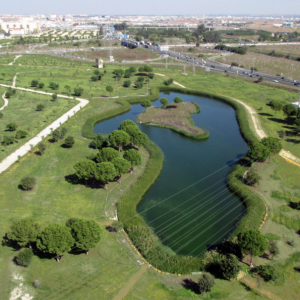 Foto 12. Pradera y arboleda. Fuente: www.hguadalquivir.es ministerio de agric y med ambiente