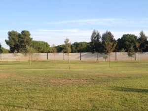 Foto 19. Pradera y arboleda. Fuente: Elaboración propia.