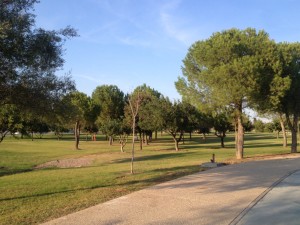 Foto 14. Pradera y arboleda. Fuente: Elaboración propia.